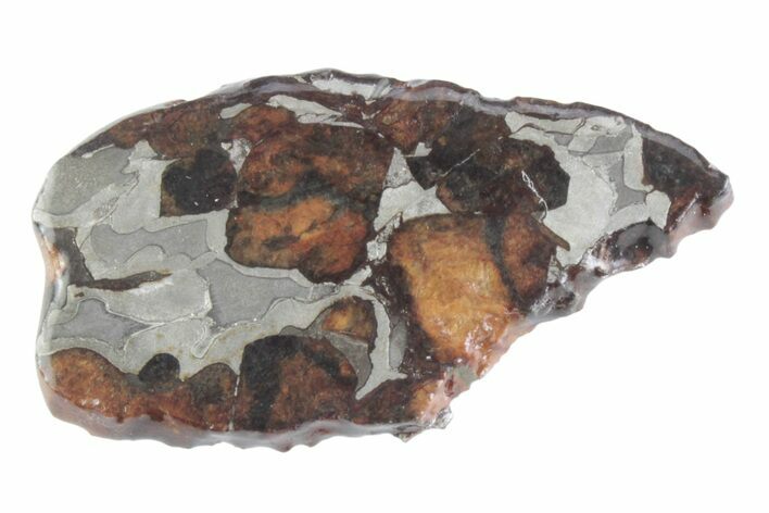 Sericho Pallasite Meteorite ( g) Slice - Kenya #382932